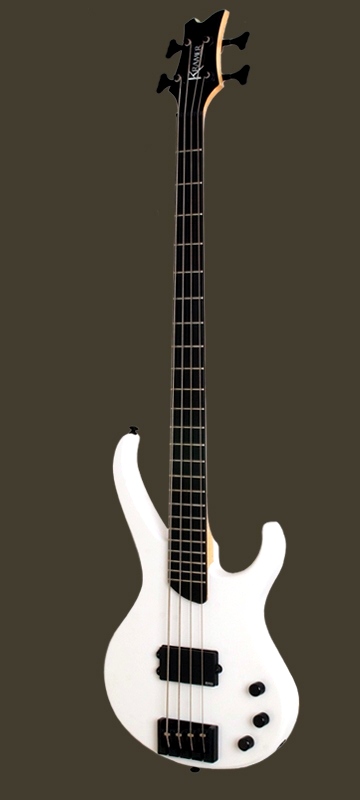 model-spec-disciple-bass-pw.jpg